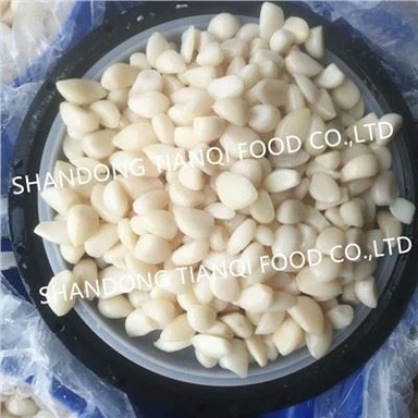 Frisk hvit hvitløk i saltlake i trommer