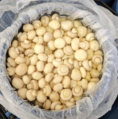 Flerårig forsyning av hele Champignon i SO2