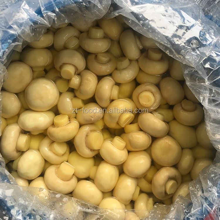 Fresh whole white mushroom in brine in drums Fresh whole white mushroom in brine in drums