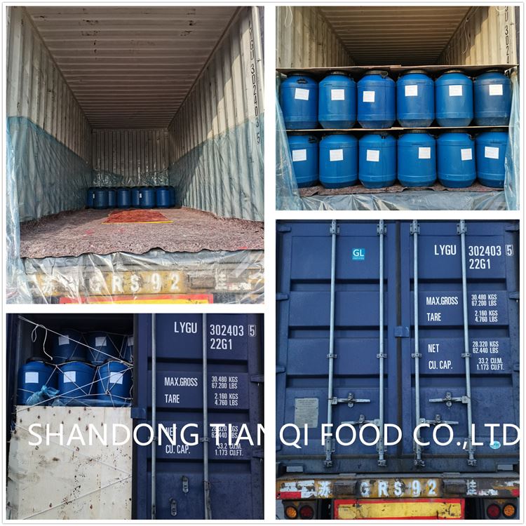 Drum packing white champignon in brine in plastic drums