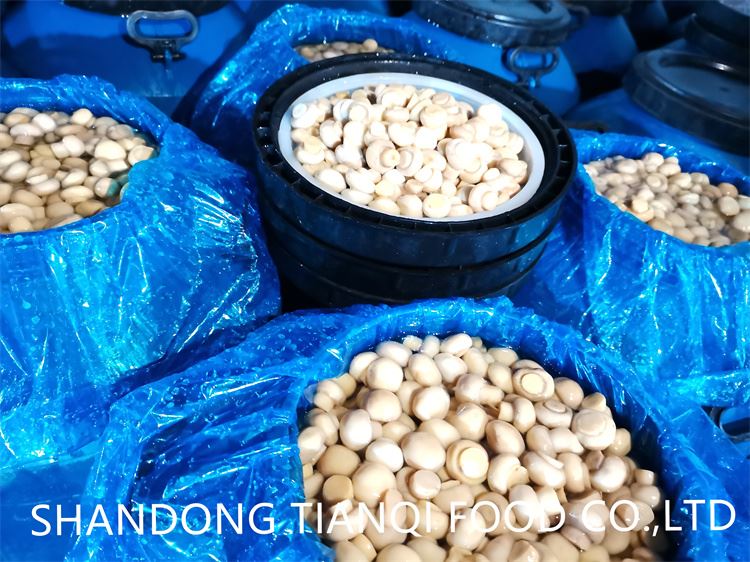 best white mushroom in brine in drums