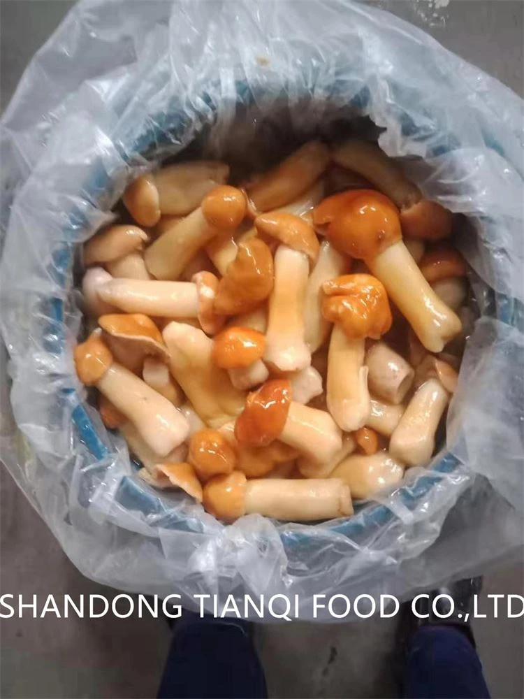 Best stropharia in brine in plastic drums