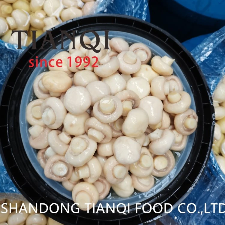 Best whole white mushroom in salted water in drums