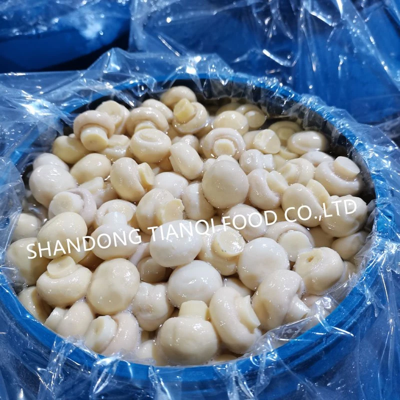 Best whole white mushroom in salted water in plastic drums