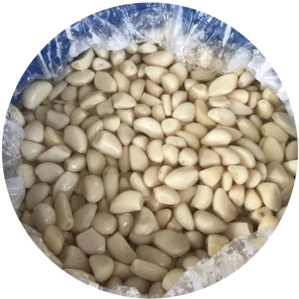 Preserved white garlic in salted water in drums