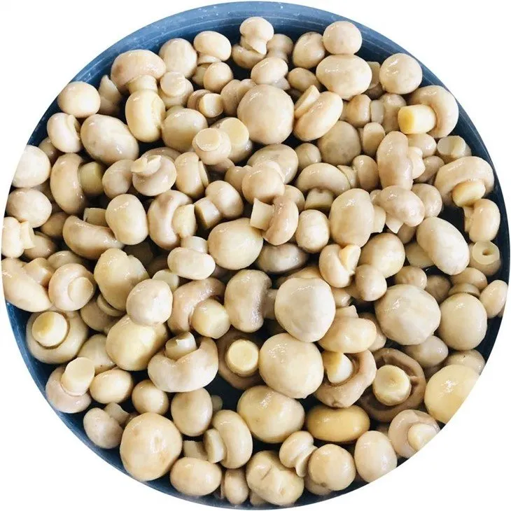 Whole white mushroom in brine in plastic drums