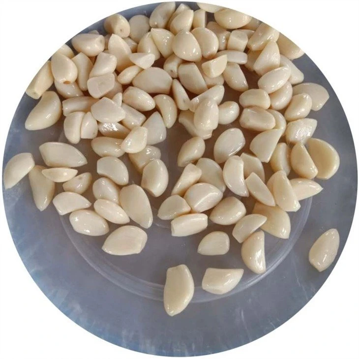 Chinese normal white garlic in brine in drums