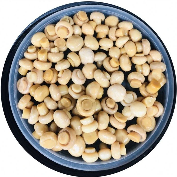 Best selling white mushroom in salted water in drums