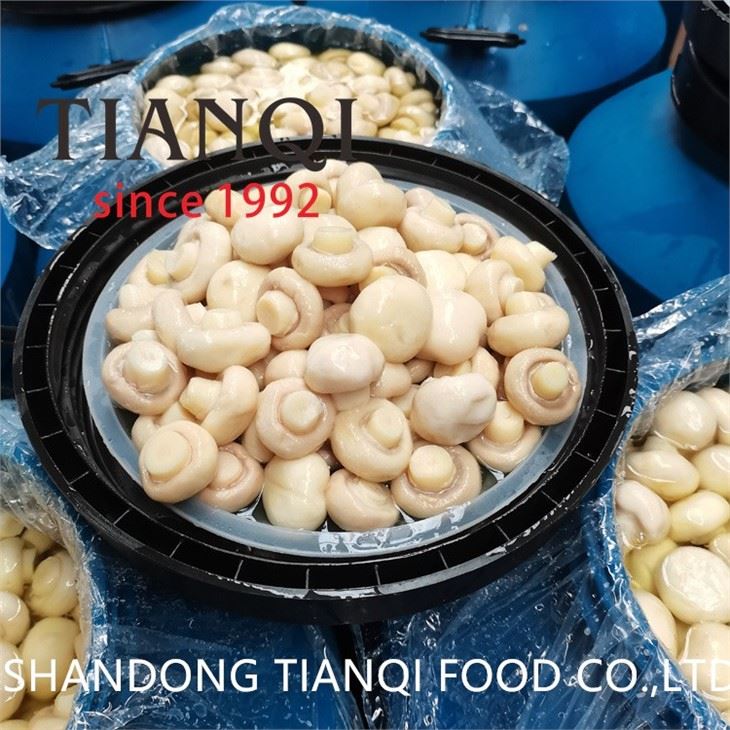 Delicious white mushroom in brine in drums