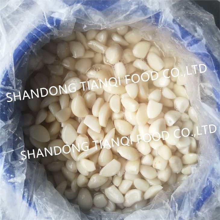 Peeled White Garlic Cloves in Salted Water in Drums