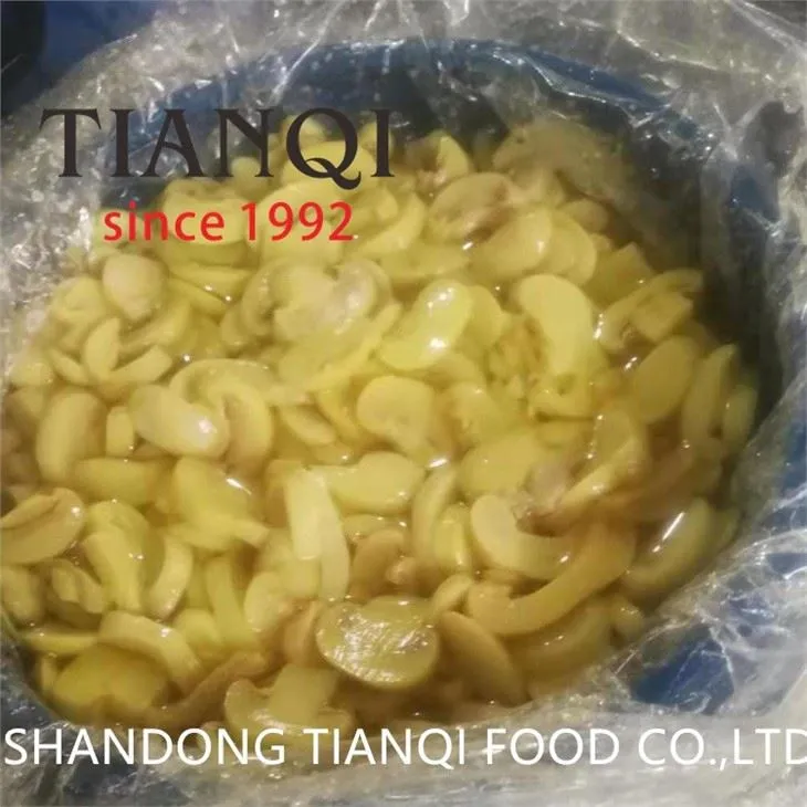Preserved Mushroom in Drum From Factory
