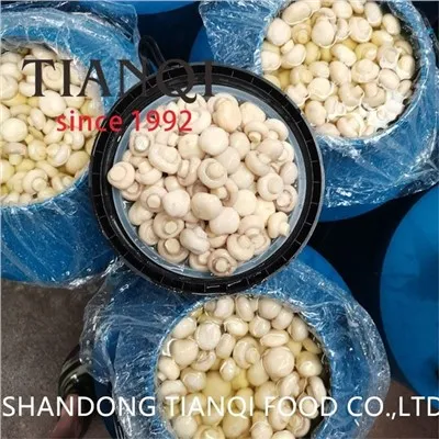 Hvit skive Champignon sopp i 50kgs trommer